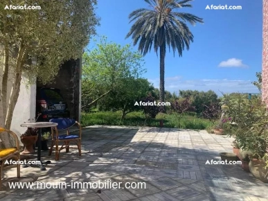 Ferme Oliva T1230 Nabeul Menzel Bouzalfa