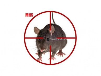 Lutte contre les nuisibles et les rongeurs Lutte contre les nuisibles et les rongeurs