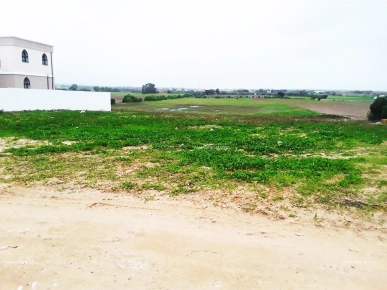 un terrain prés de la plage à kerkouane