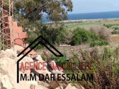 terrain près de la mer