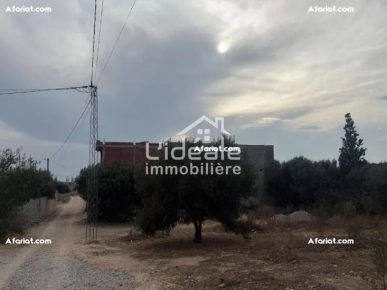 Terrain Ramla à Hammamet Zone sidi Hamed