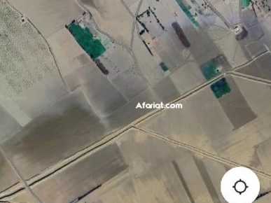 terrain agricole