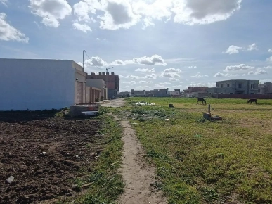 un terrain à bâtir à Kélibia à jinen el mansoura