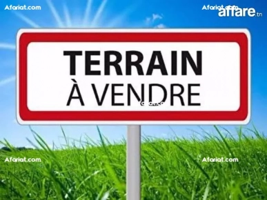 LOT DU TERRAIN LOT DU TERRAIN