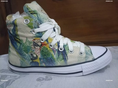 converse pointure 39