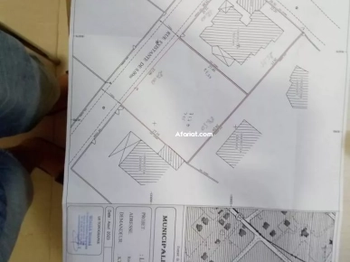 Terrain à Sfax Sakiet Eddaier kassas bouali