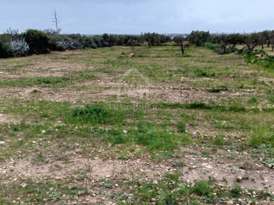 Terrain de 2700 m² à Hammamet Sud à vendre à 200 MD 51355351