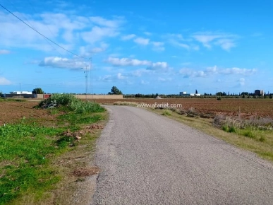 un terrain à El Hammamet sud