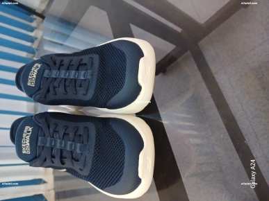 spadrille skeachers origine