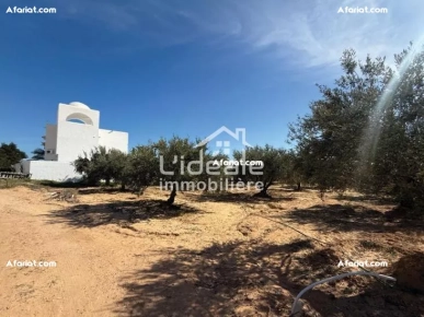 À vendre : deux terrains d’exception à Hammamet Nord