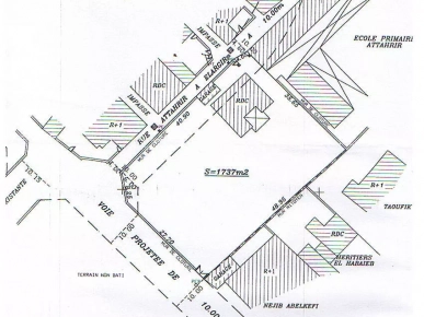 Terrain de 1430 m² Route EL AIN km 2