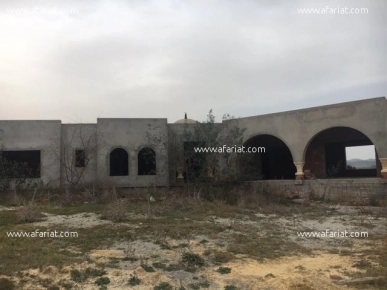 Villa Oedipe 2 AV1429 Hammamet Sud