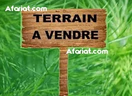 Terrain gold Terrain gold