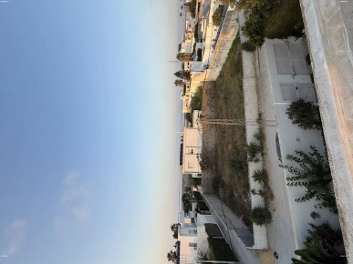 TERRAIN  A  CHOUTRANA   3  TUNIS