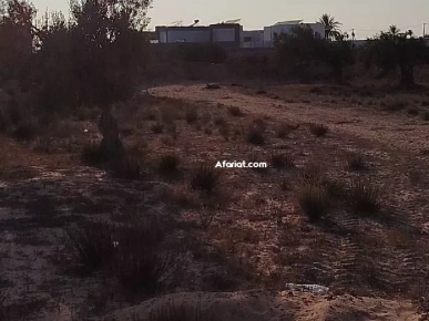 terrain à vendre à côté mosquée Khaled Ibn walid tezdain Djerba