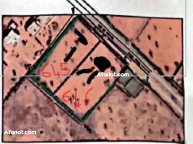 Un terrain de 3185 mètres carrés immatriculé sous le n°646 Un terrain de 3185 mètres carrés immatriculé sous le n°646