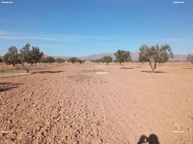 قطعة أرض فلاحية قطعة أرض فلاحية