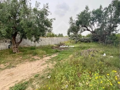 Lot de terrain de 250 m² à Hammamet à vendre 51355351