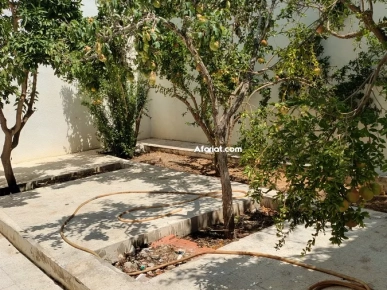 A VENDRE MAISON KSOUR ESSEF 15 MN CENTRE VILLE