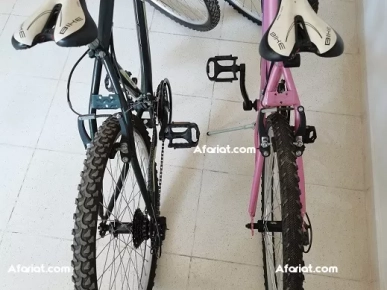 2 vélos FREJUS importés pour couple