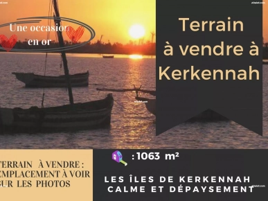 Les îles de Kerkennah / terrain à vendre (PRIX NÉGOCIABLE)