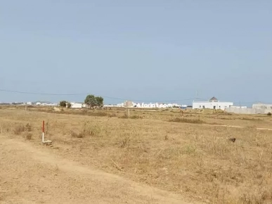 Terrain à vendre kélibia