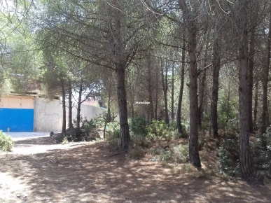 Terrain proche de la mer 350m2 Terrain proche de la mer 350m2
