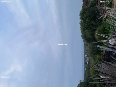 Terrain de 6000m² à Vendre – Takelsa Rtiba