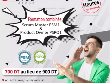 Formation Agile Scrum Master et Product Owner PSM / PSPO Formation Agile Scrum Master et Product Owner PSM / PSPO
