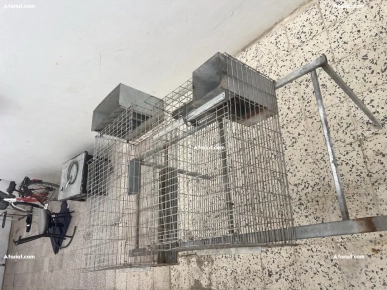cage de lapin