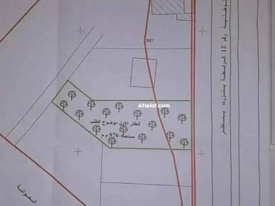 ارض للبيع بها 16 زيتونة مساحتها 976 متر مربع ارض للبيع بها 16 زيتونة مساحتها 976 متر مربع