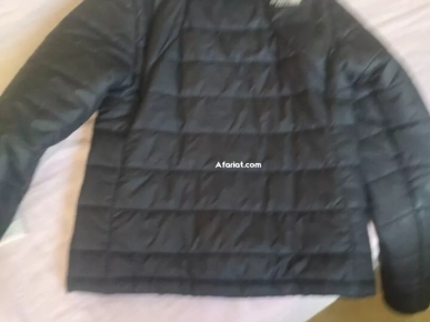 the north face