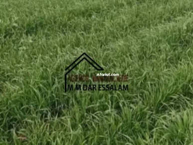 terrain agricole à vendre