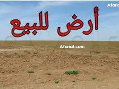 فرصة فريدة: امتلك عقاراً على البحر!