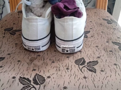 Converse pointure 39