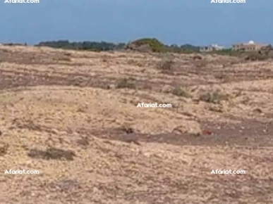 à vendre un terrain vu sur mer 1ère position a la plage