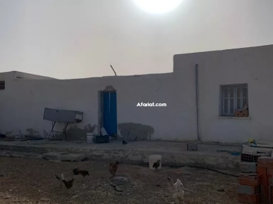 Maison avec grand terrain Maison avec grand terrain