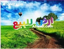 terrain a vendre 28.910817 terrain a vendre 28.910817