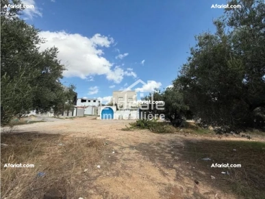 Terrain avec titre bleu individuel à Hammamet