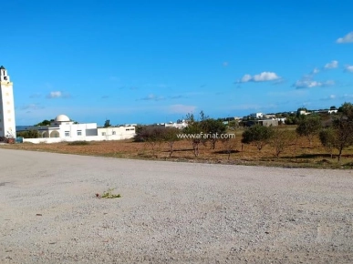 un terrain à El Hammamet sud