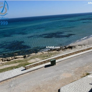 Lot sur mer a vendre à dar allouche kélibia Lot sur mer a vendre à dar allouche kélibia