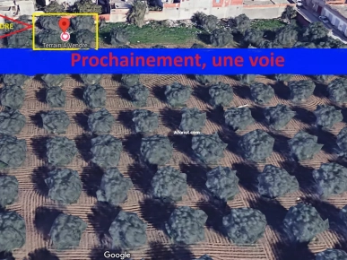 ارض لبيع صالحة لبناء مساحة 200متر مربع  حي الهضاب فوشانة بن عروس ارض لبيع صالحة لبناء مساحة 200متر مربع  حي الهضاب فوشانة بن عروس