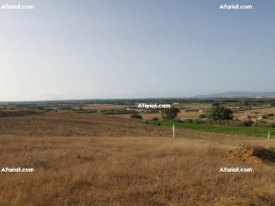 terrain a vendre 28.910817