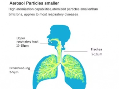 Nébuliseur portatif d'oxygène