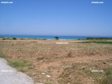 Terrain à Kélibia dans un endroit magnifique