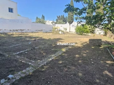 Terrain 831 m² La Soukra — 22 m façade, R+2, titre bleu