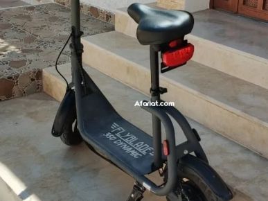 Draisienne Electrique FLYBLADE 350
