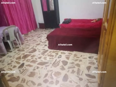 للكراء للفتيات