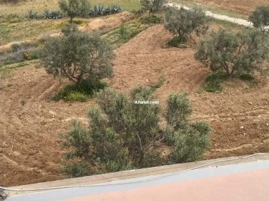 maison inachevée à vendre à Hammamet Yasmine maison inachevée à vendre à Hammamet Yasmine