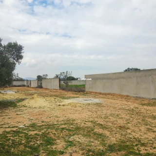Terrain clôturée  à vendre à Hammamet
